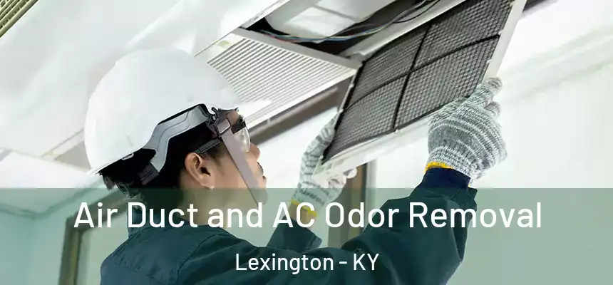 Air Duct and AC Odor Removal Lexington - KY