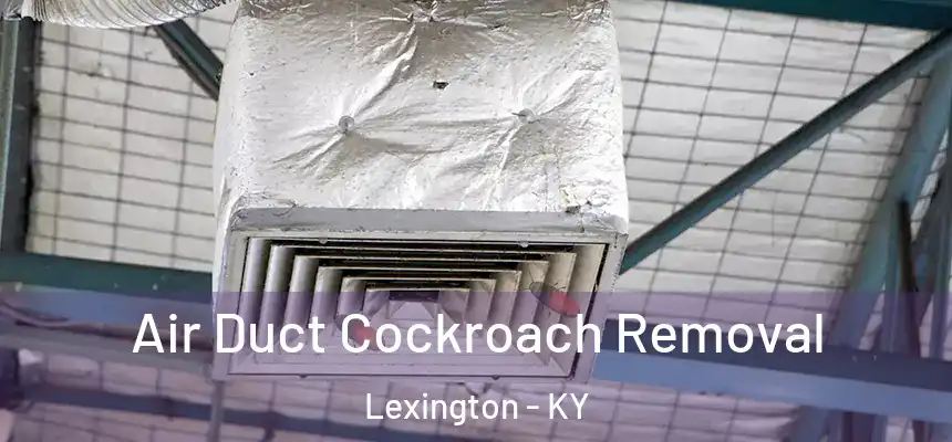 Air Duct Cockroach Removal Lexington - KY