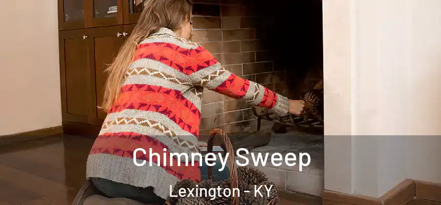 Chimney Sweep Lexington - KY