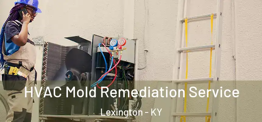 HVAC Mold Remediation Service Lexington - KY