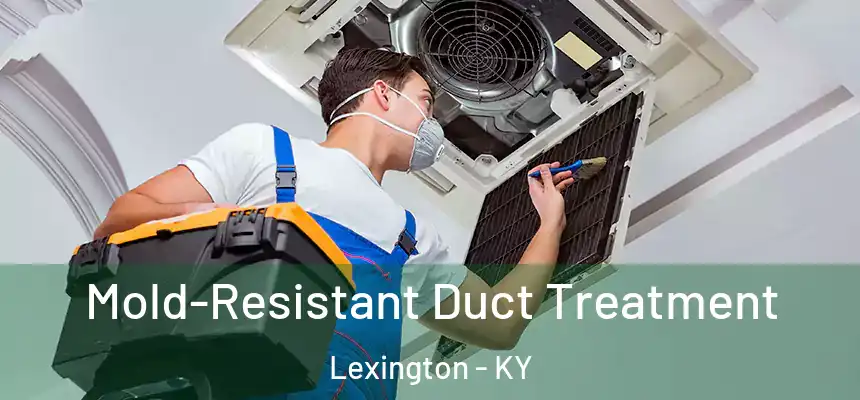Mold-Resistant Duct Treatment Lexington - KY