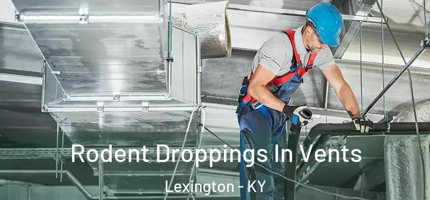 Rodent Droppings In Vents Lexington - KY