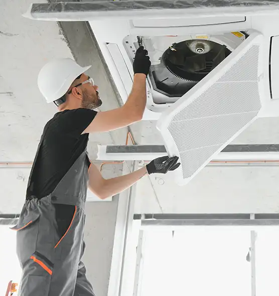 About Air Duct Rodent Removal in Lexington, KY