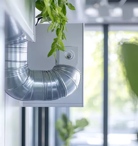 Professional Eco-Safe Dryer Vent Cleaning in Lexington, KY