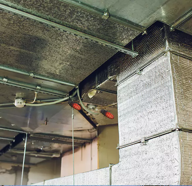 Why Homeowners & Businesses Trust Us in Lexington, KY?