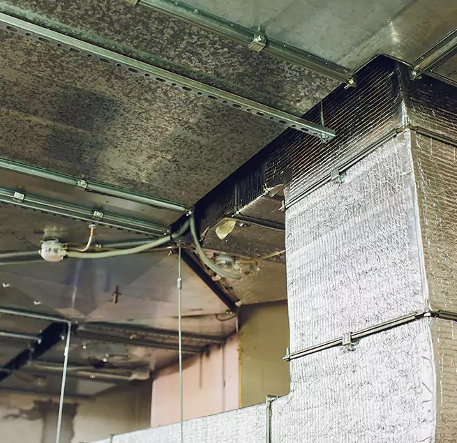 Why Homeowners & Businesses Trust Us in Lexington, KY?